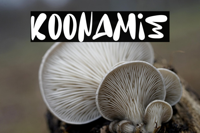 Koonamie Example 2