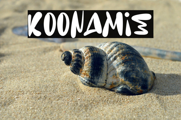 Koonamie Example 3