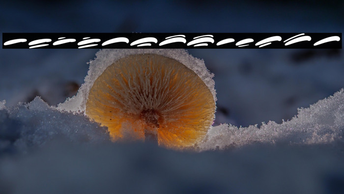 KoonamieSwash Example 2