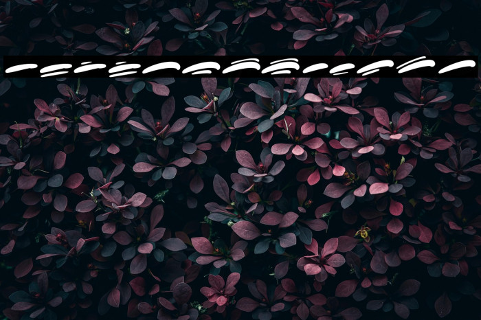 KoonamieSwash Example 3