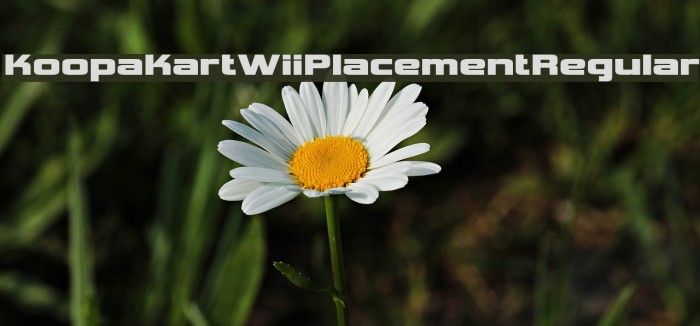 Koopa Kart Wii Placement Regular Fonte examples
