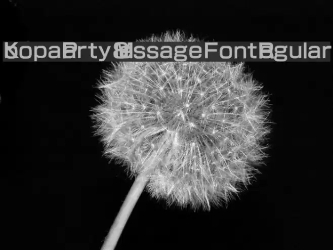 Koopa Party 8 Message Font Regular Font examples