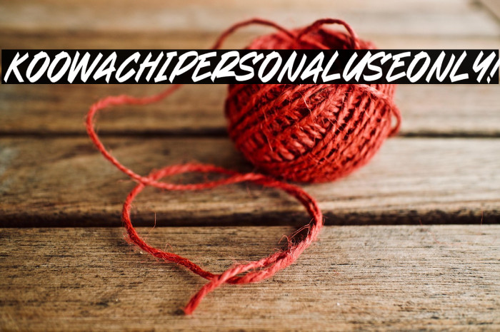 Koowachi PERSONAL USE ONLY! Example 3