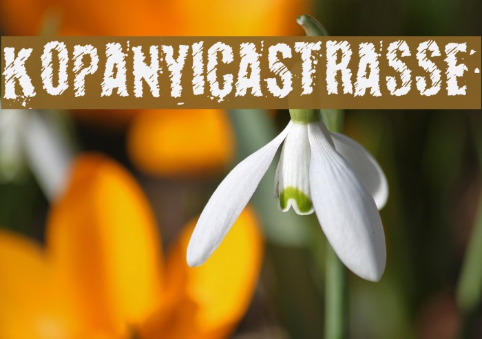 KopanyicaStrasse Font examples