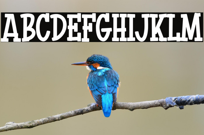 Kopi Arabica Example 2