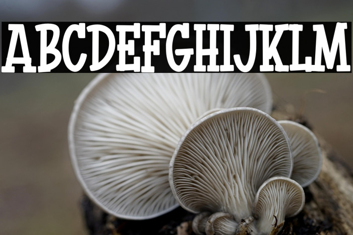 Kopi Arabica Example 3