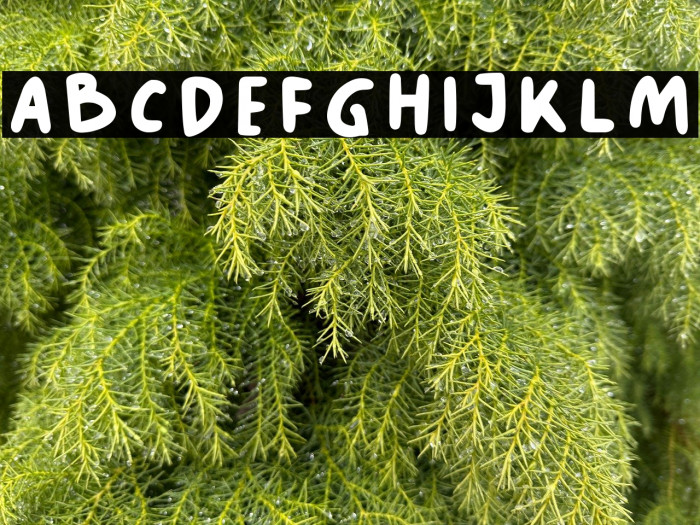 Kopi Senja Sans Example 1