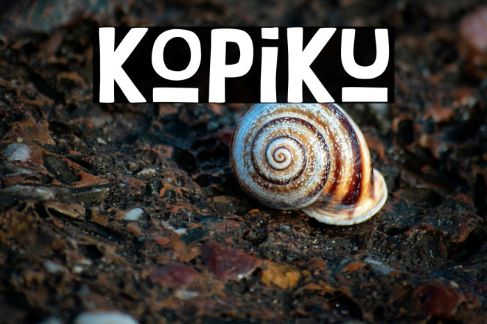 Kopiku Example 1