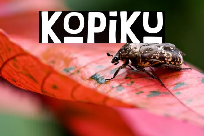 Kopiku Example 3