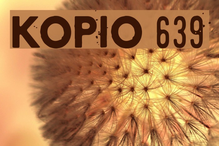 Kopio 639 Example 2