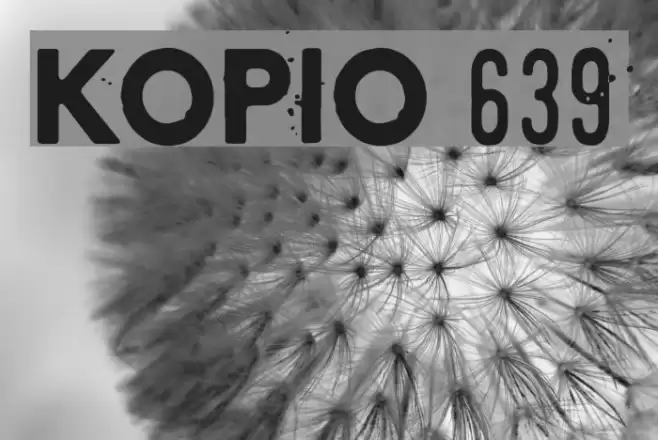 Kopio 639 Font examples