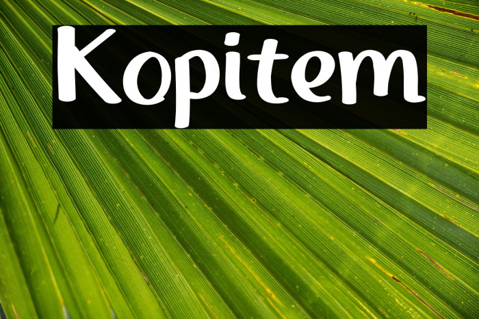 Kopitem Example 1