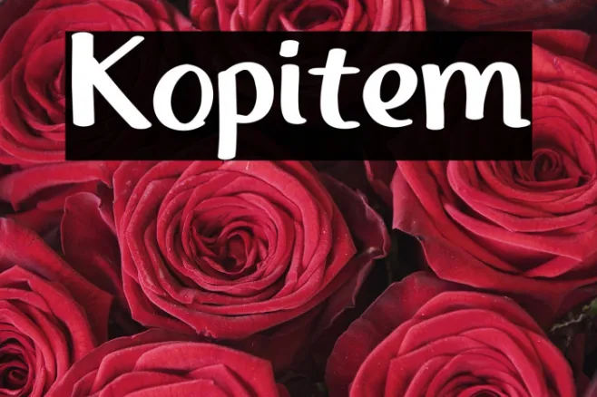 Kopitem Example 2