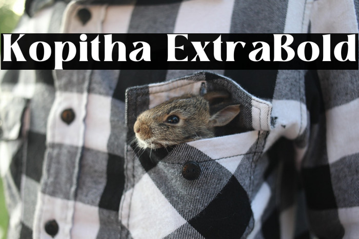 Kopitha ExtraBold Example 3