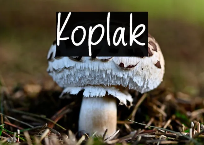Koplak Example 1
