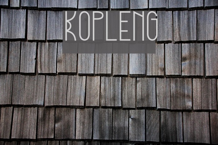 Kopleng Example 2