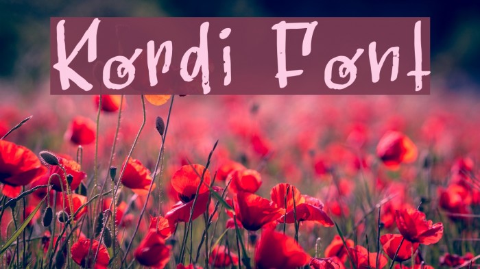 Kordi Font examples