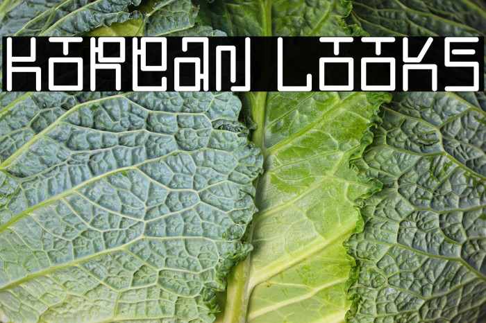 Korean Looks Example 3