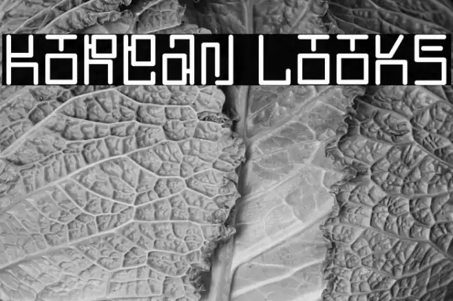 Korean Looks Font examples