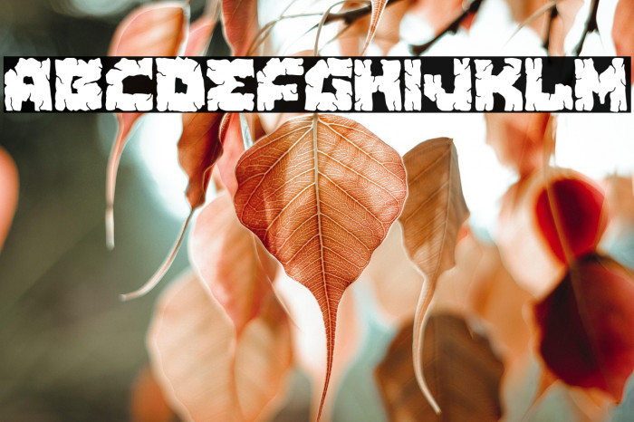 Korean Party Example 2