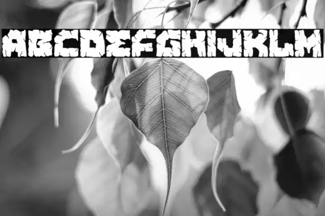 Korean Party Caratteri examples