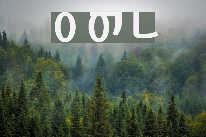KoreanSansSSK Bold Font examples