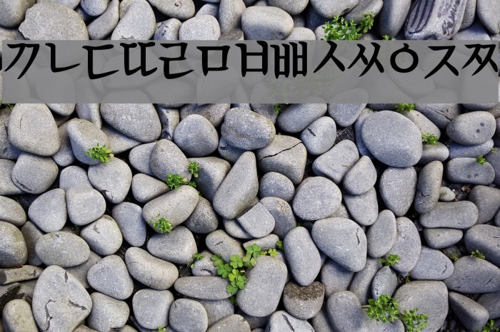 KoreanTimesSSK Font examples