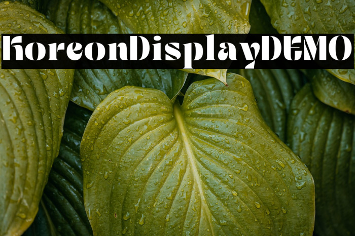 Koreon Display DEMO Example 2