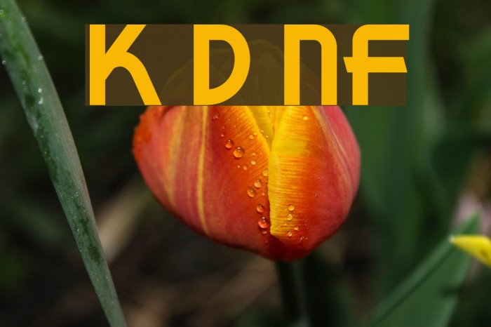 Korner Deli NF Font examples
