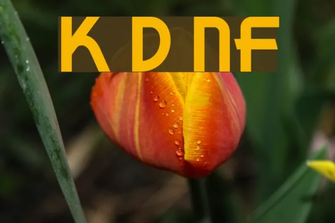 Korner Deli NF Example 2