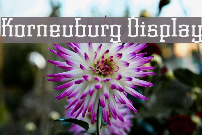 Korneuburg Display Font examples