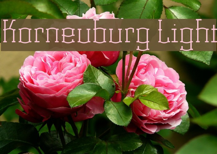 Korneuburg Light Example 1