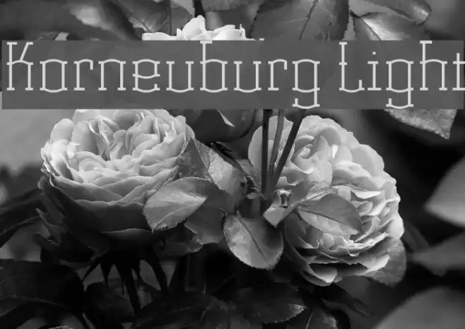 Korneuburg Light Font examples