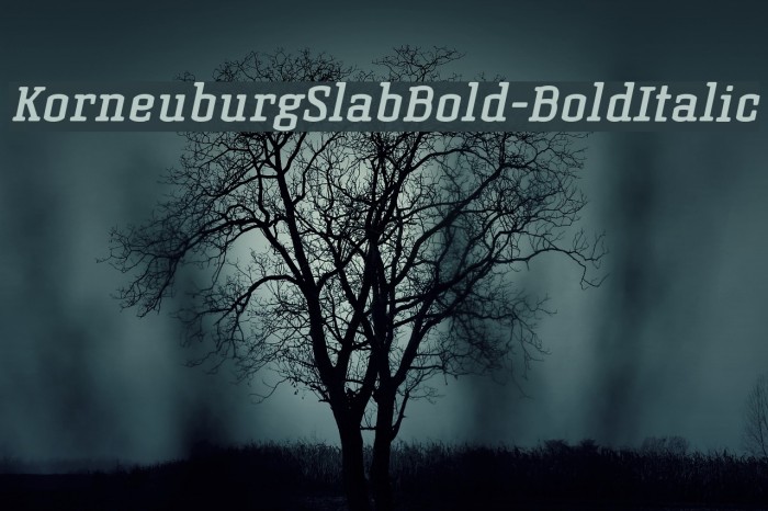 KorneuburgSlabBold-BoldItalic Font examples