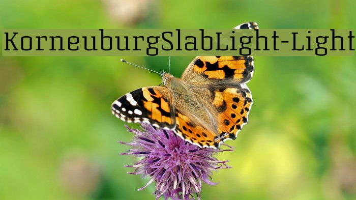 KorneuburgSlabLight-Light Example 3