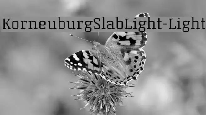 KorneuburgSlabLight-Light Font examples