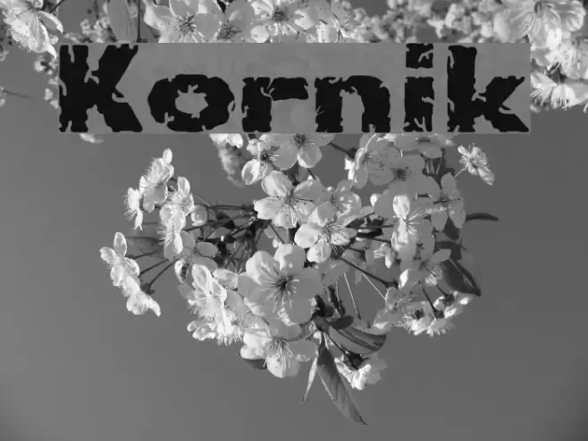 Kornik フォント examples