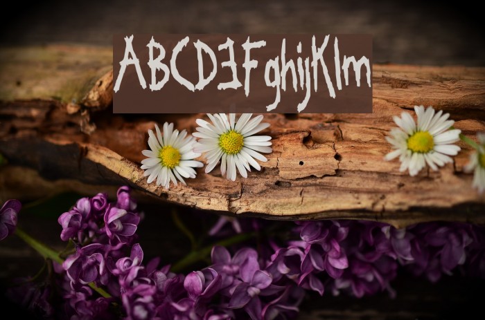 Kornucopia Example 1