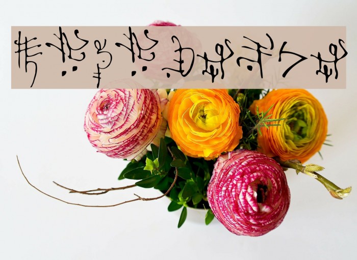 Korohanza Font examples