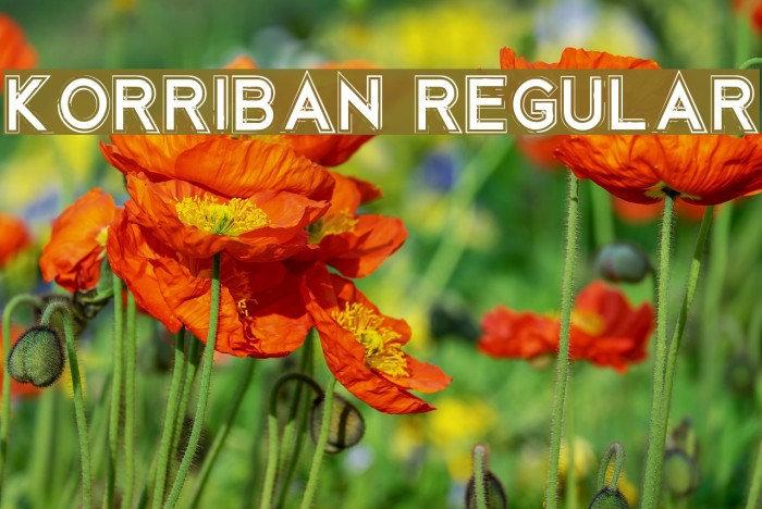 Korriban Regular Font examples