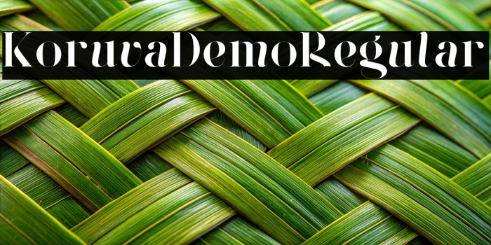 Koruva Demo Regular Example 2