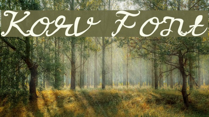 Korv Font examples