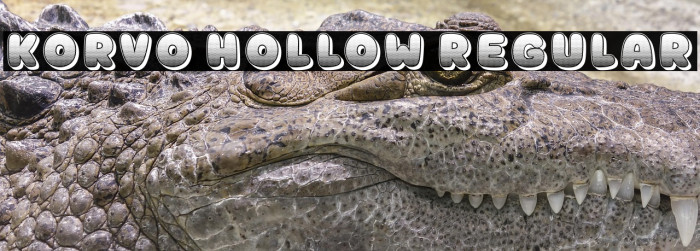 Korvo Hollow Regular Example 2
