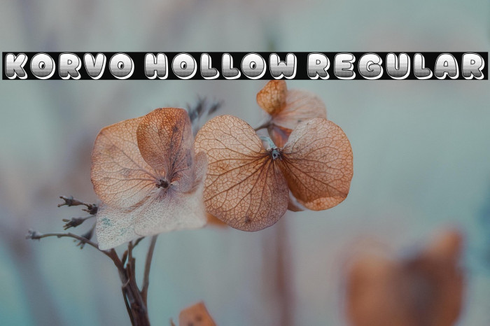 Korvo Hollow Regular Example 3