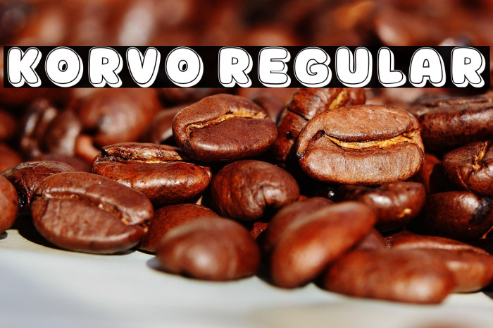 Korvo Regular Example 1