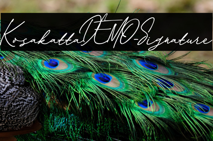 KosakattaDEMO-Signature Example 1