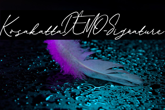 KosakattaDEMO-Signature Example 3
