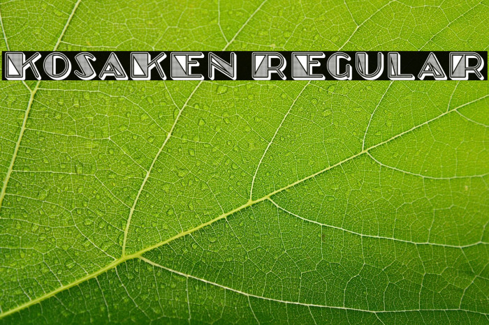 Kosaken Regular Example 1