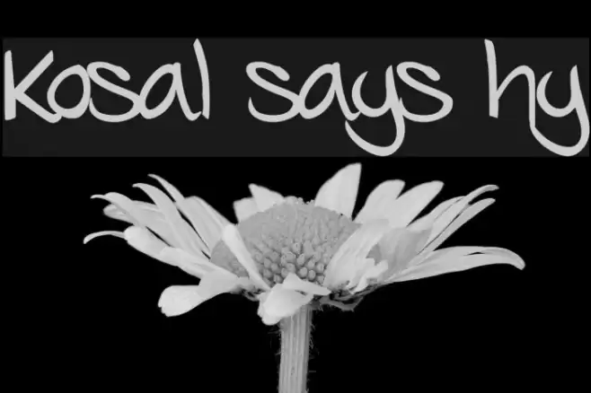 Kosal says hy Font examples