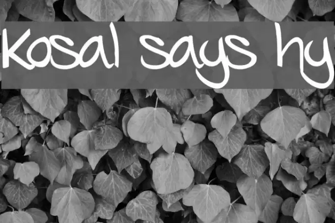 Kosal says hy Font examples